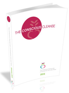 conscious-cleanse-manual